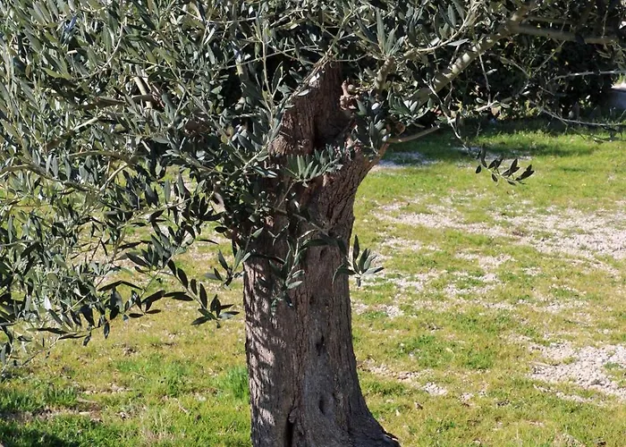 In 16693 아파트 라벡